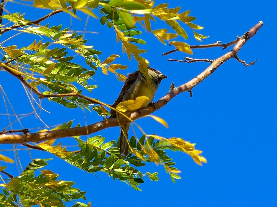 P1100167