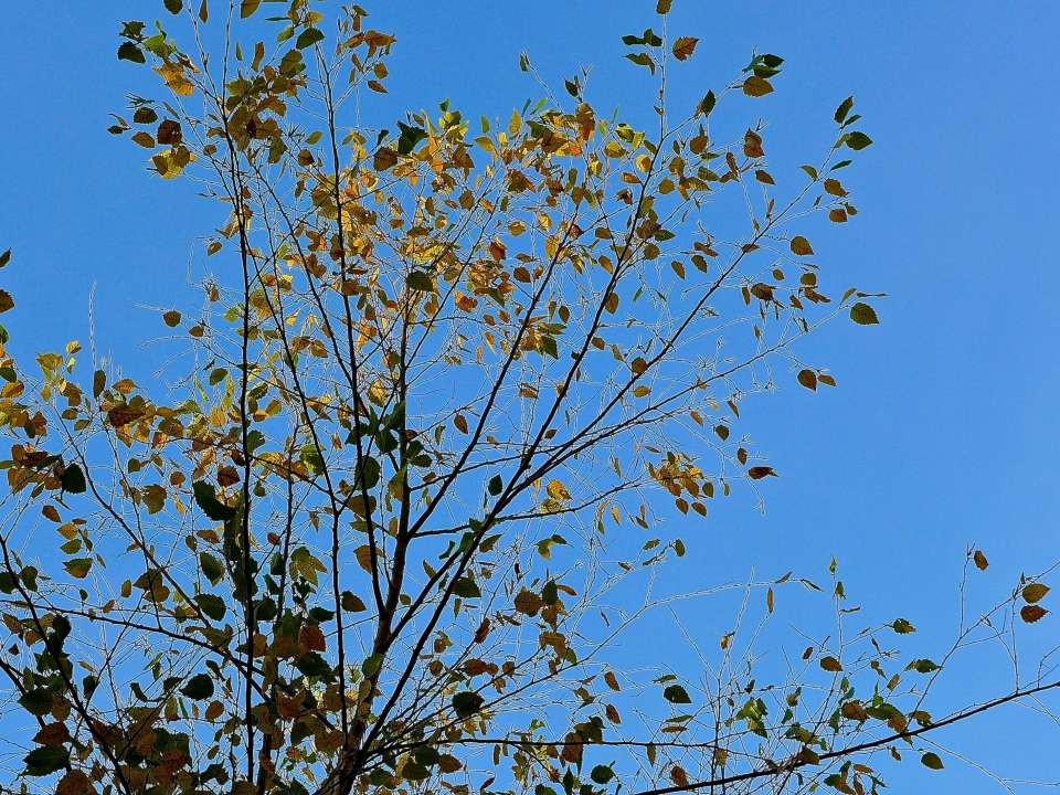 P1100875
