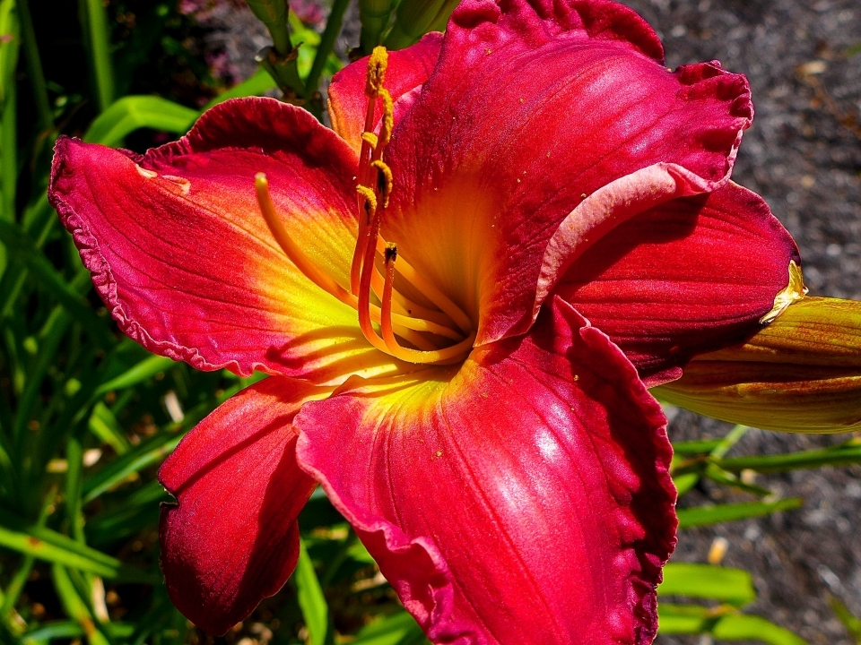 P1020199