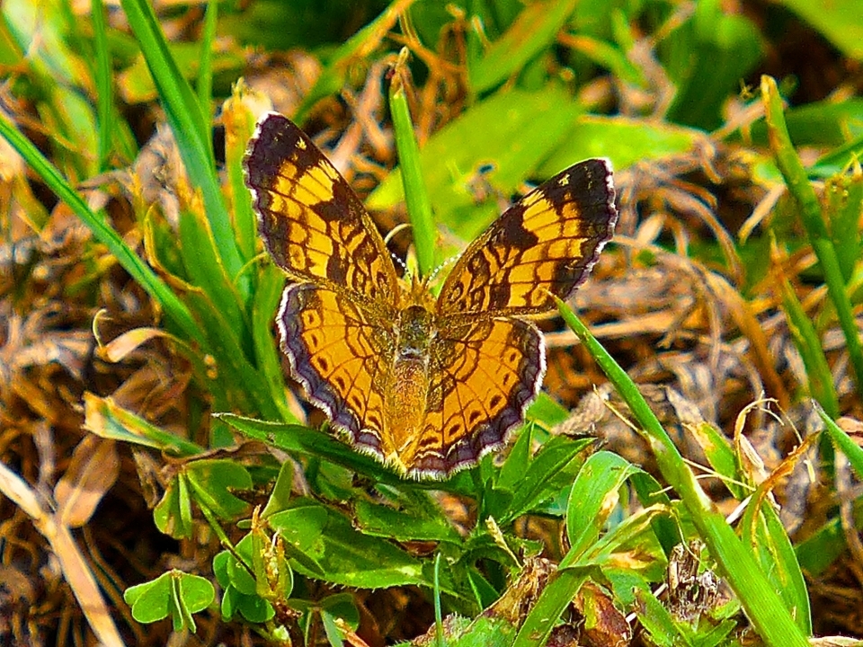 P1370632