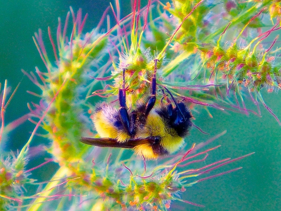 P1330834