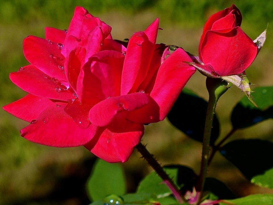 P1350225