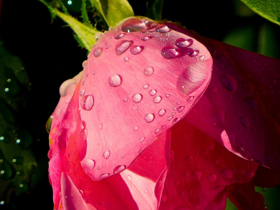 P1400468