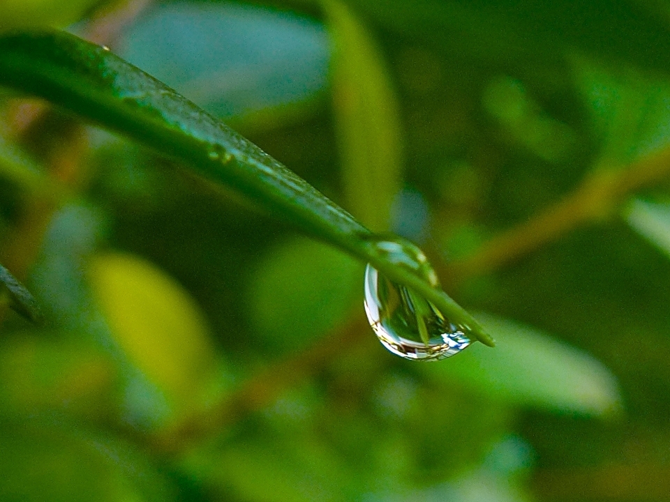 P1040608